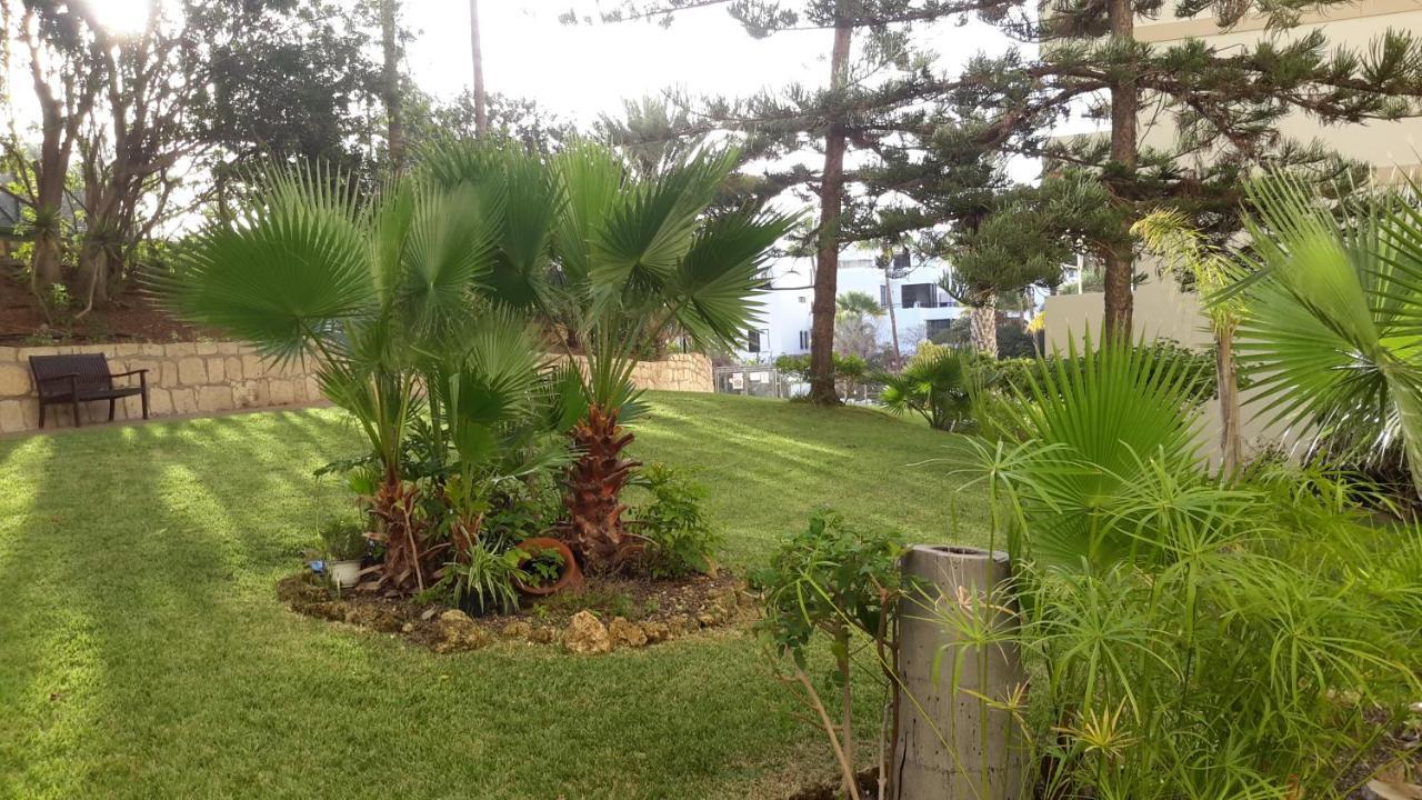 Lovely 1-Bedroom Apartment With A Big Terrace, Las Americas, Tenerife Arona  Eksteriør billede