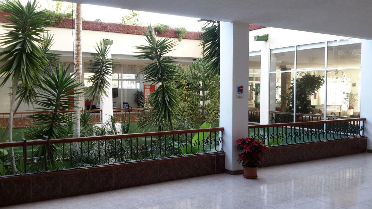 Lovely 1-Bedroom Apartment With A Big Terrace, Las Americas, Tenerife Arona  Eksteriør billede